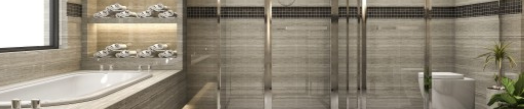 Douche / baignoire & parois