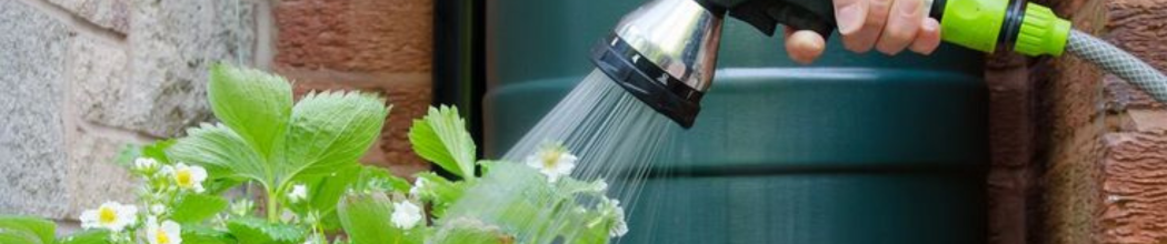 Arrosage & récupérateur d’eau